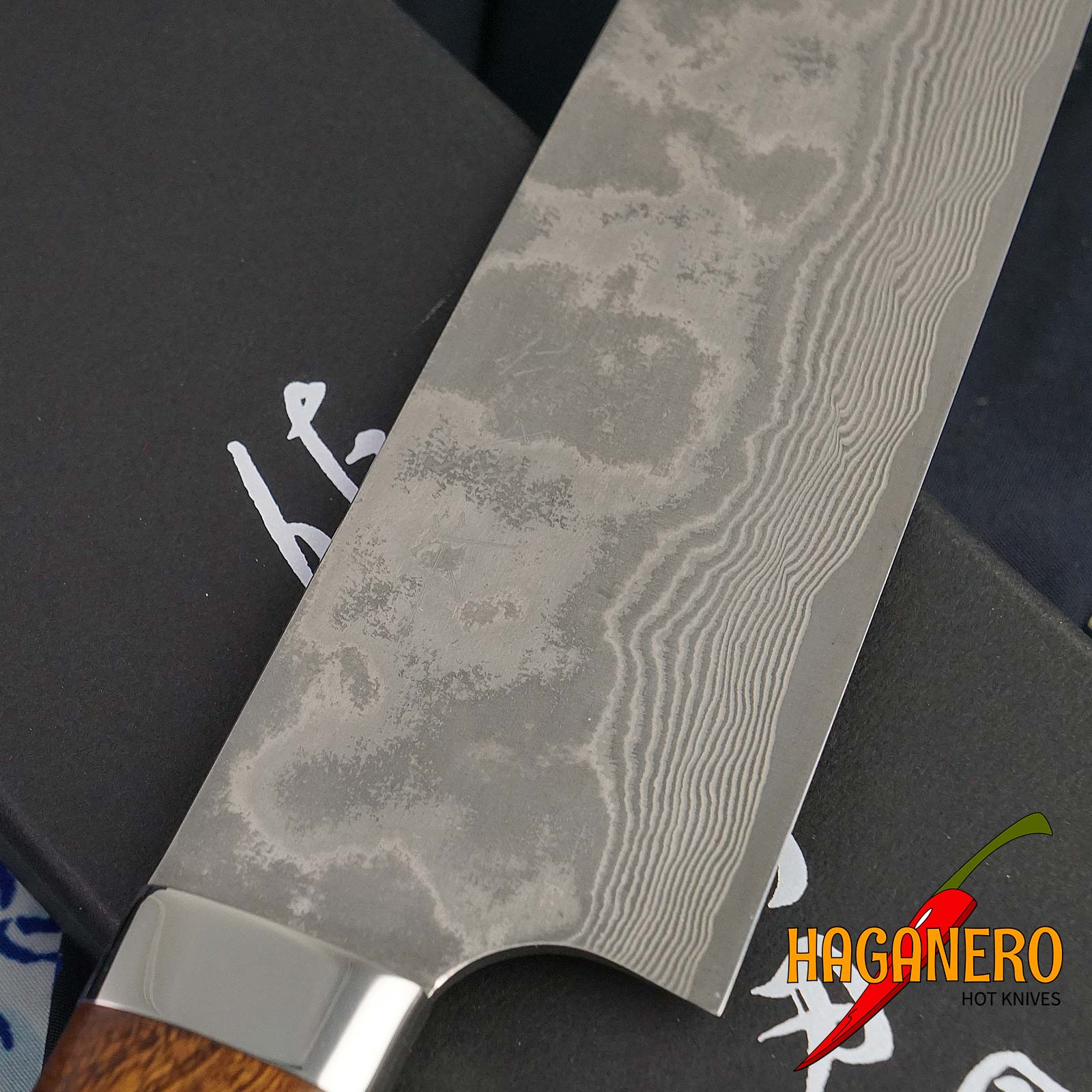 Gyuto Japanese kitchen knife Takeshi Saji Iron Wood Nickel Damascus HA-4108 21cm