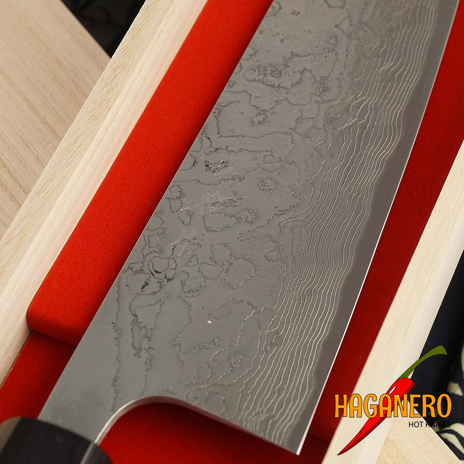 Gyuto Japanese kitchen knife Takeshi Saji Damascus SG2 Iron Wood HB-5708 21cm