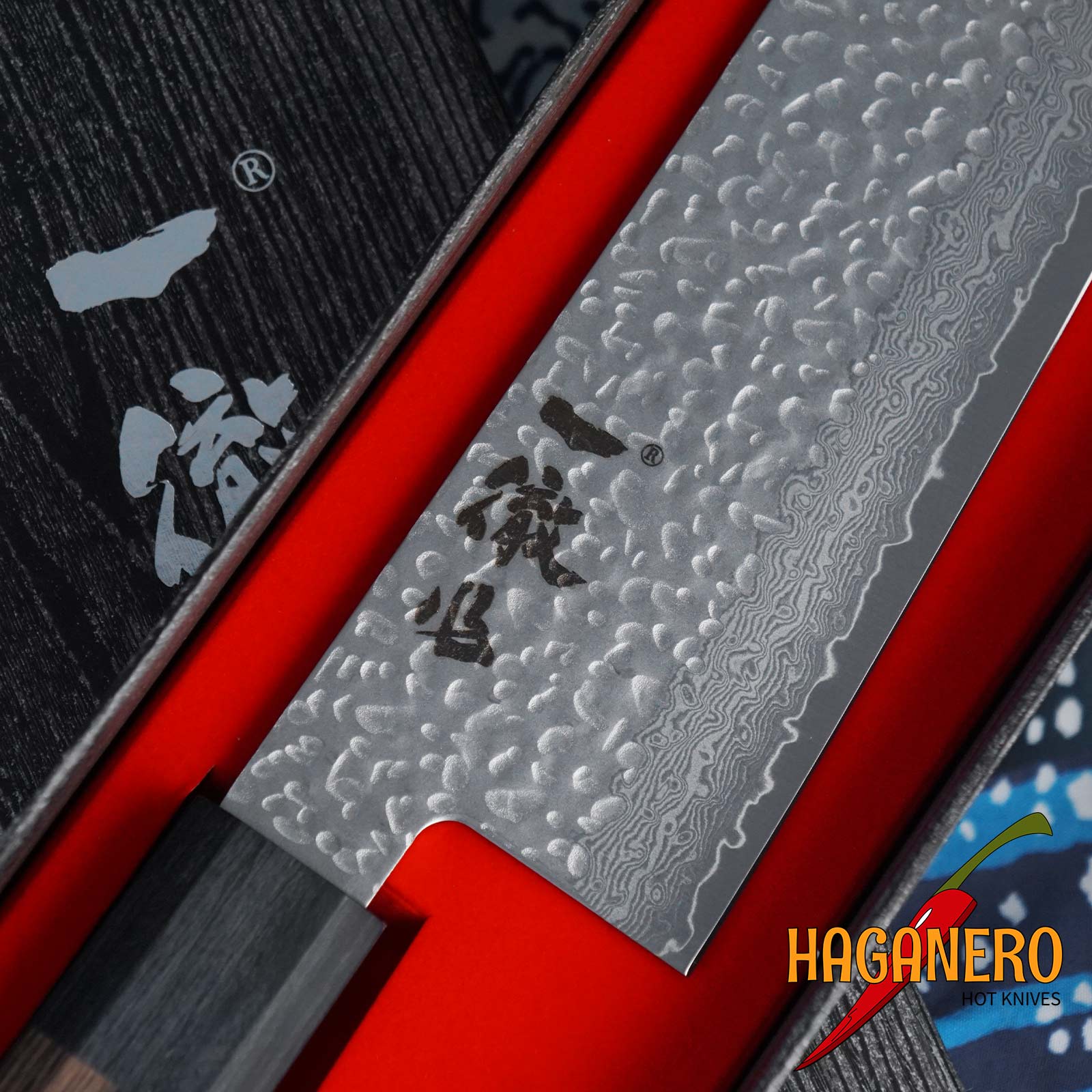 Gyuto japanisches Küchenmesser Ittetsu VG-10 Damast IWZ-105 24cm