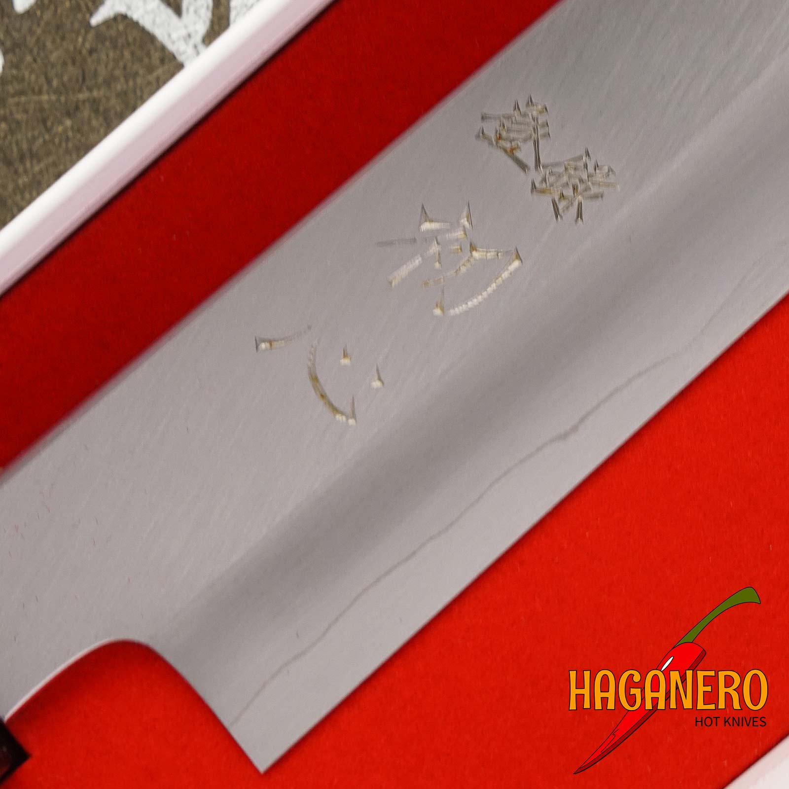 Sujihiki Japanese kitchen knife Nakagawa Satoshi Ginsan NG-GS240 24cm