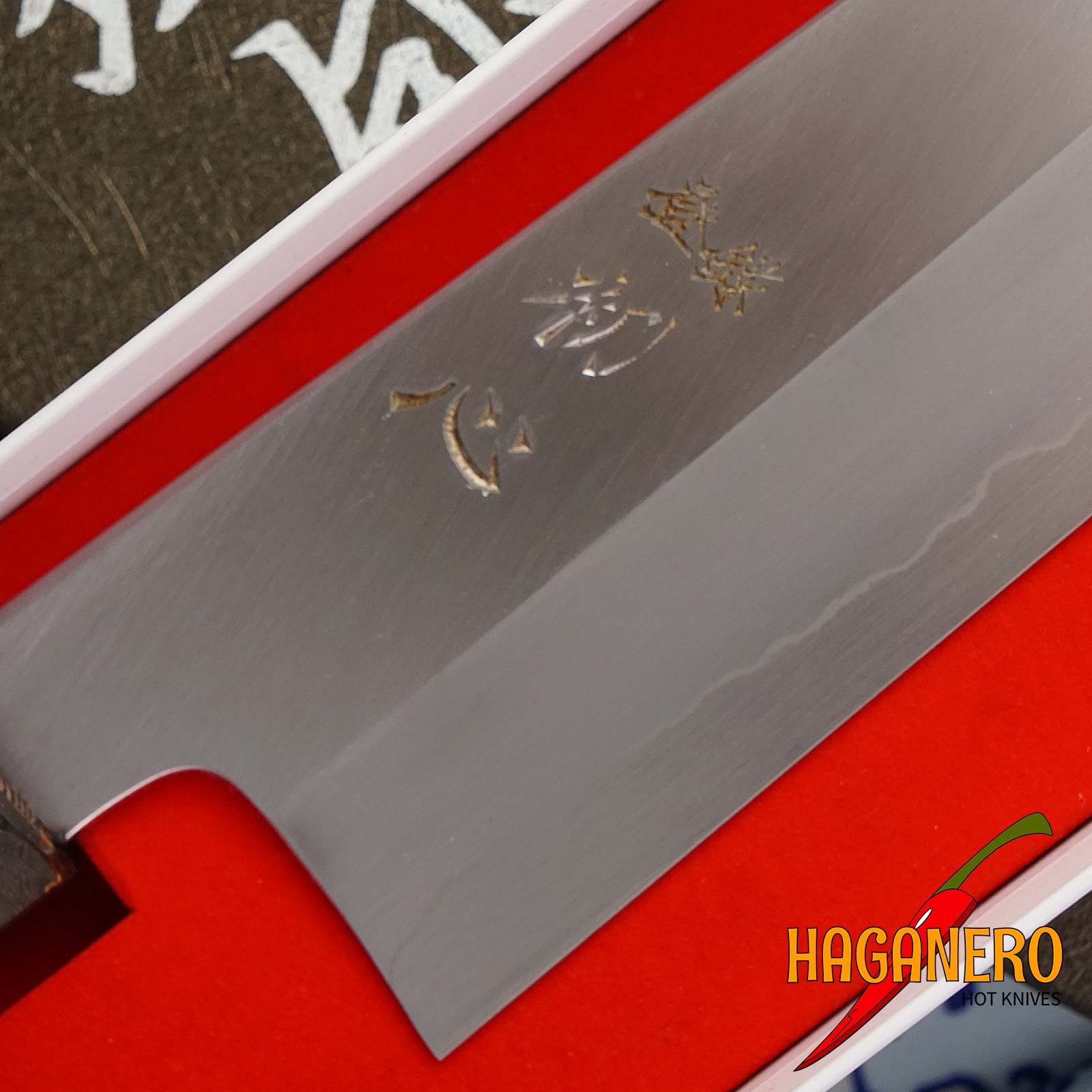 Japanisches Küchenmesser Gyuto Nakagawa Satoshi Ginsan NS-GG240 24cm