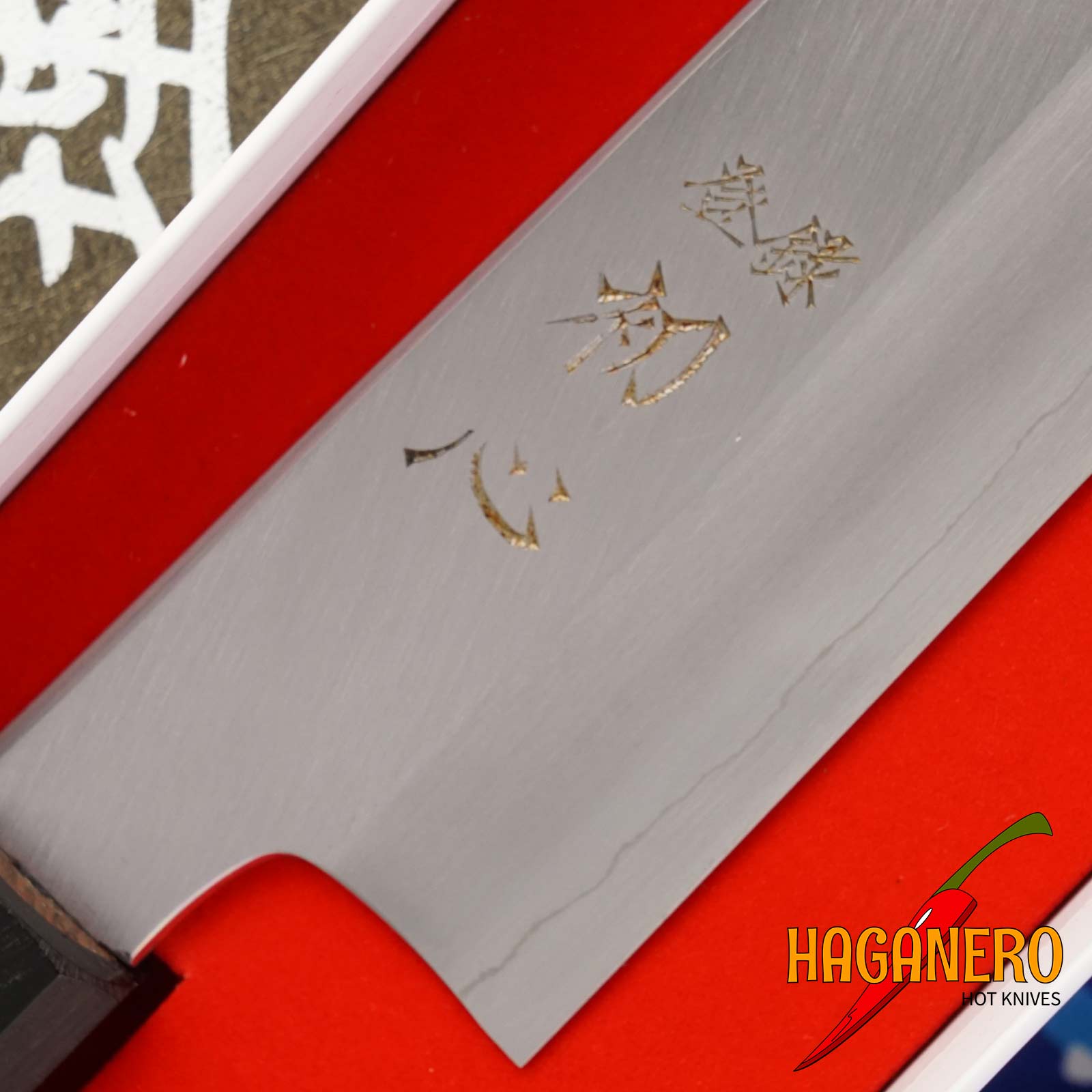 Kiritsuke japanisches Küchenmesser Nakagawa Satoshi Ginsan NS-GKG210 21cm