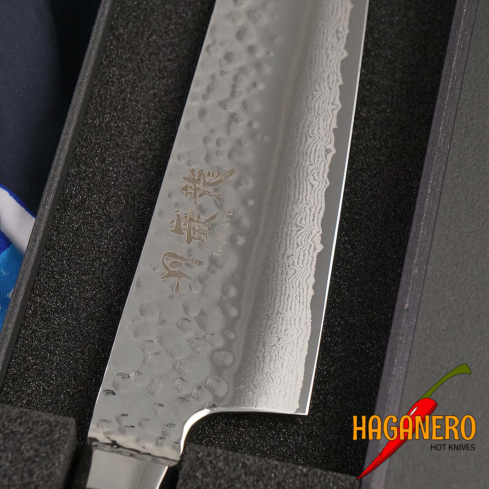 Gyuto japanisches Küchenmesser Ryusen Hamono Tanganryu TG-502 21cm